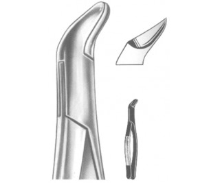 Extracting Forceps American pattern